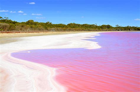 praia cor de rosa